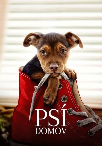 Sledování titulu Psí domov: kde sledovat film online?