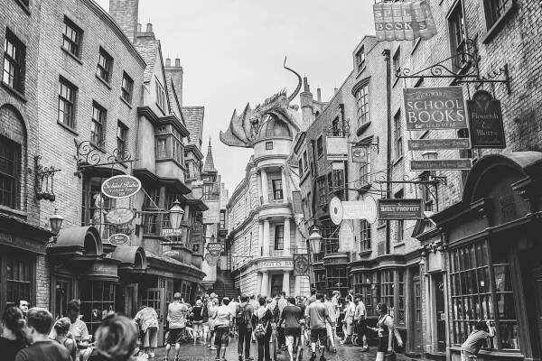 Wizarding World — the FilmTripper