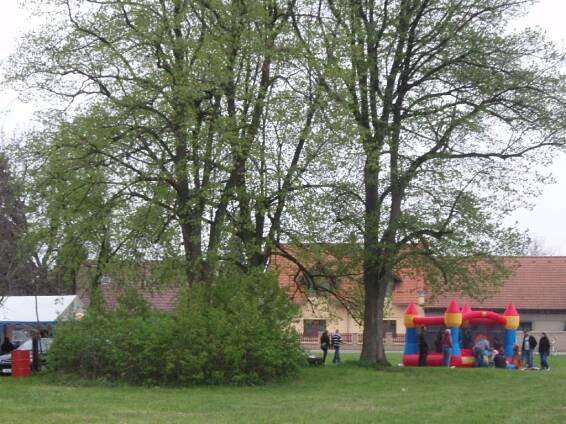 pálení čarodějnic 2013 - pálení čarodějnic 2013 - Oficiální stránky Obce Chomutice