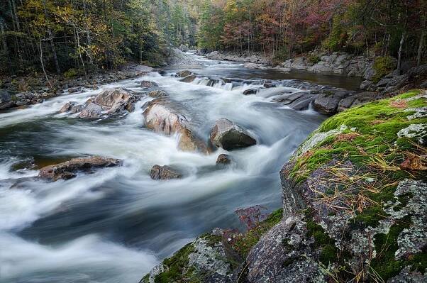 Foothills Conservancy of NC