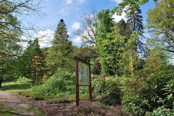 Žampach Arboretum - horní park 2019 - jaro (2) 