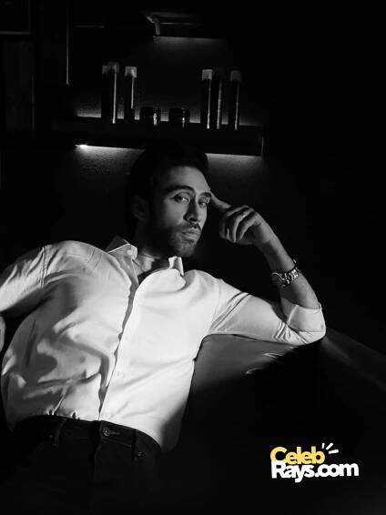 Ali Rehman Khan income