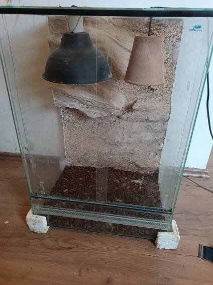 Terarium - Zvířata