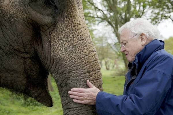 Přírodní kuriozity Davida Attenborougha - Z filmu - David Attenborough
