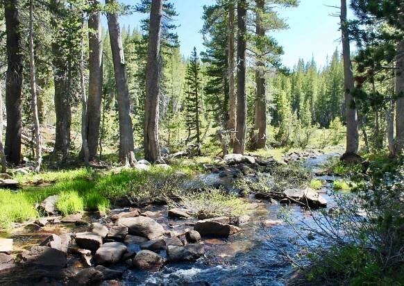 Dinkey Creek