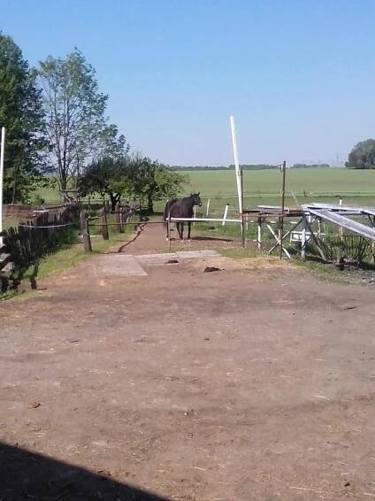 Sportovní klub Skalický dvůr foto 5