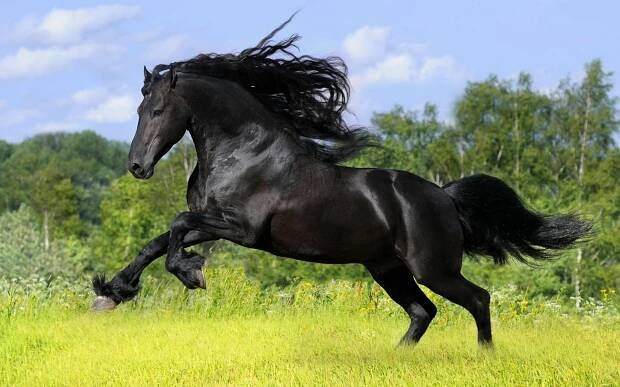 Index of /wp-content/uploads/2013/06