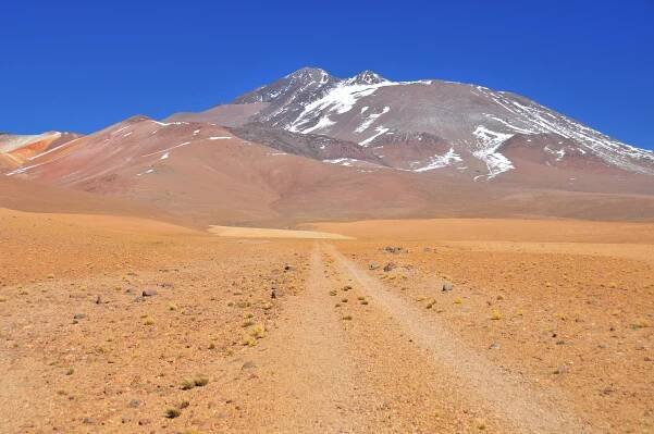 A dirt road across yellow rocky desert heads to a brown-grey mountain