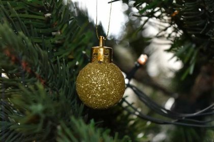 Bezplatný obrázek: vánoční, vánoční strom, zlatá záře, Zlatý monokl, reflexe, koule, dekorace, svítí, zimní, předsazení