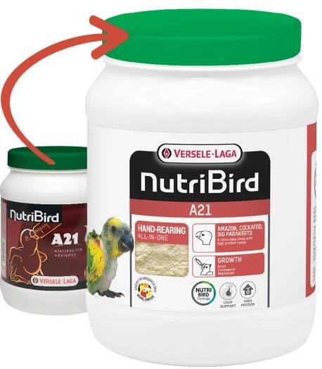 VERSELA-LAGA Dokrmovací směs NutriBird A21 800 g
