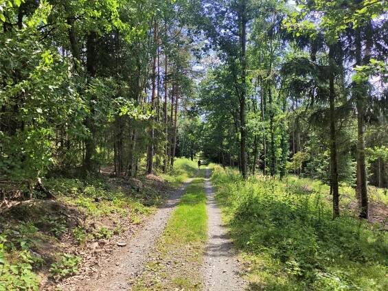 Běžecké a Nordic Walking závody v Mariánském Údolí – 13. 8. 2022