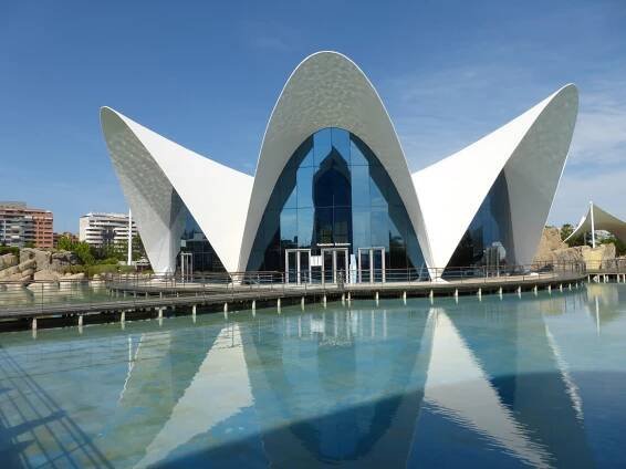 Concrete shell