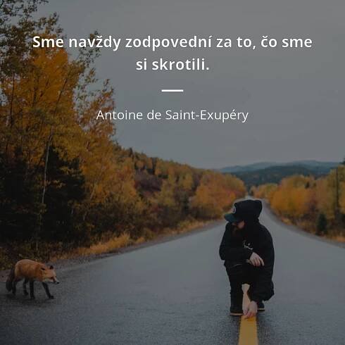Sme navždy zodpovední za to, čo sme si skrotili.