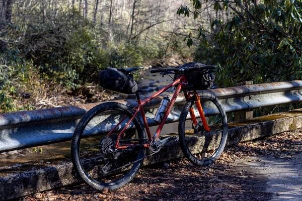 Ritchey P-29er Review