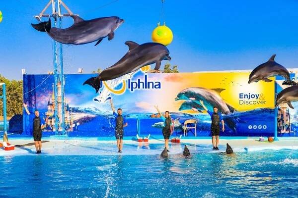 Výlet na delfíní show – delfinárium z Hurghady