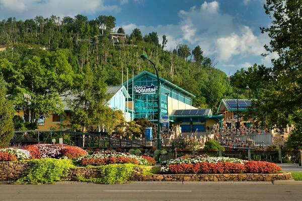 Carol's Lodge - 865Vacations Smoky Mountains Cabin Rentals