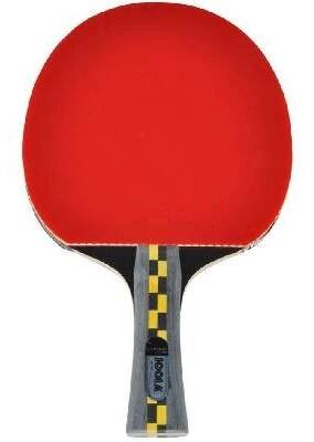 Pálka na stolní tenis Joola Carbon Pro (JA54195)