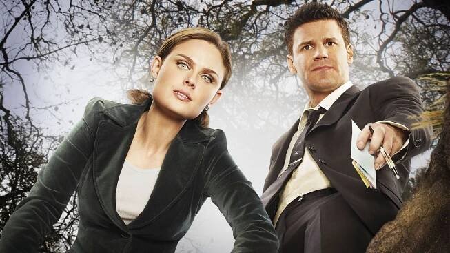 David Boreanaz