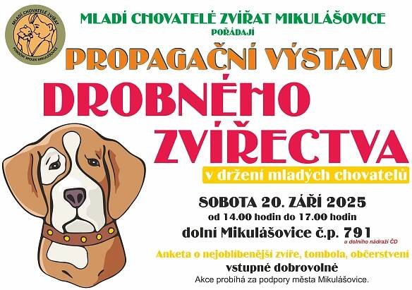 Propagační výstava drobného zvířectva v držení mladých chovatelů - Město Mikulášovice