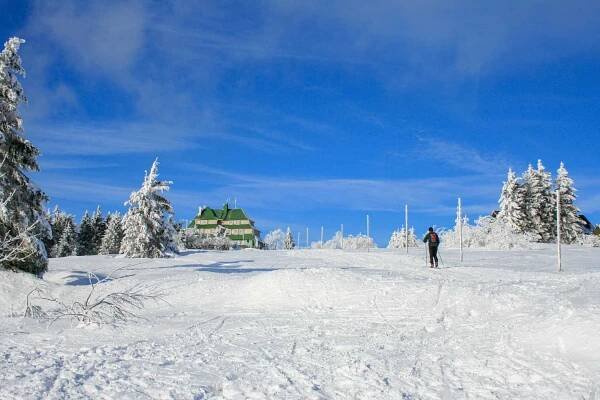 Masarykova chata na Šerlichu - Deštné v Orlických horách, Orlické hory a Podorlicko | Regiontourist.cz