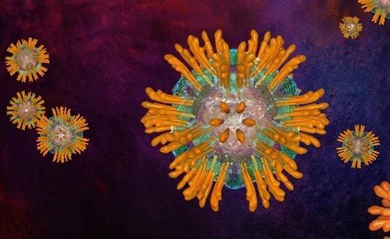 Virus hepatitidy typu C se přenáší krví. Nákaza probíhá roky skrytě a mnohdy se...