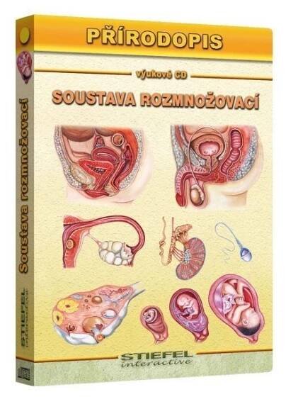 Soustava rozmnožovací