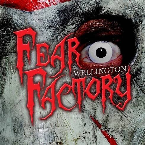 Best Things To Do For Teenagers In Wellington