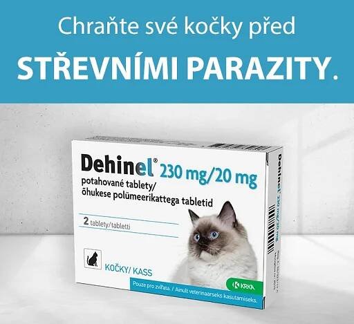 Chraňte své kočky před střevními parazity. Dehinel.