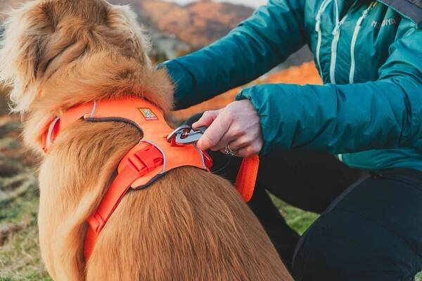Ruffwear - Postroj Front RangeTM