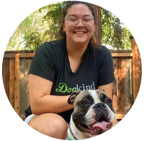 About Our Dog Trainers 