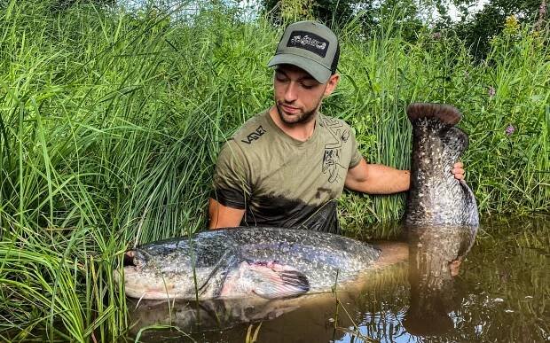 Náš tým | The Homeland Of Catfishing