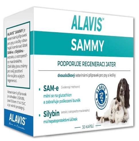 ALAVIS Sammy prípravok na podporu regenerácie pečene pre psy a mačky 30 tbl.