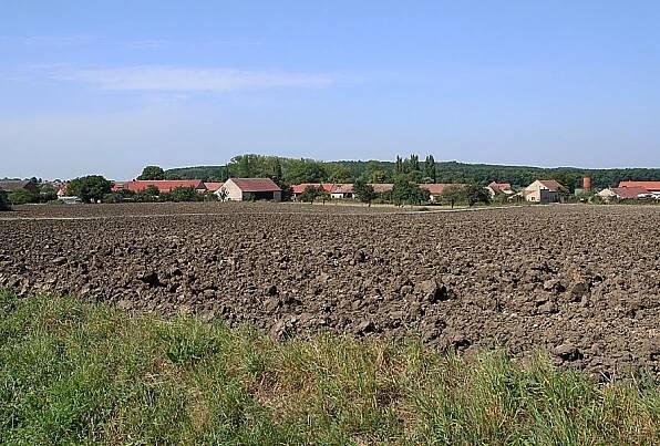 STŘÍPKY Z NAŠÍ KRAJINY: Dománovický les