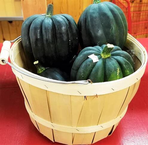 Acorn Squash