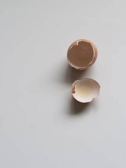 Make and Use Eggshell Powder in Dog Food Recipes
