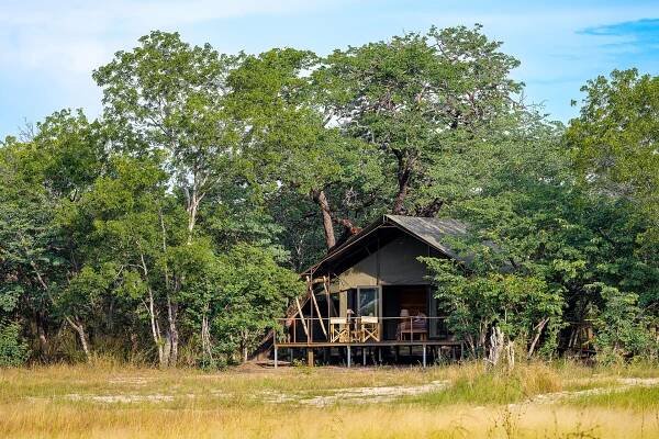Wild Expeditions - Camp Hwange & Muddy Teak