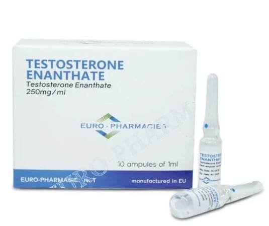 Testosteron Enanthát 250 mg/ml - 10 x 1 ml - Euro Lékárny
