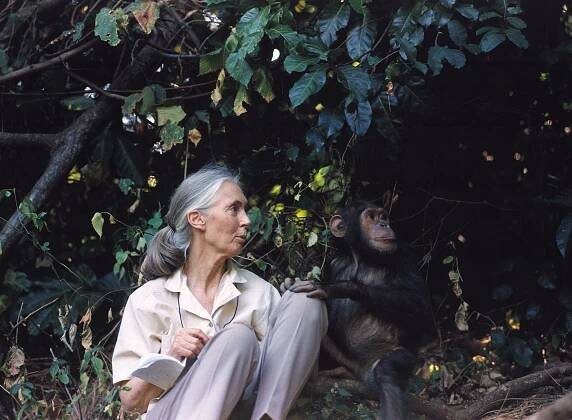 Legendární Jane Goodallová