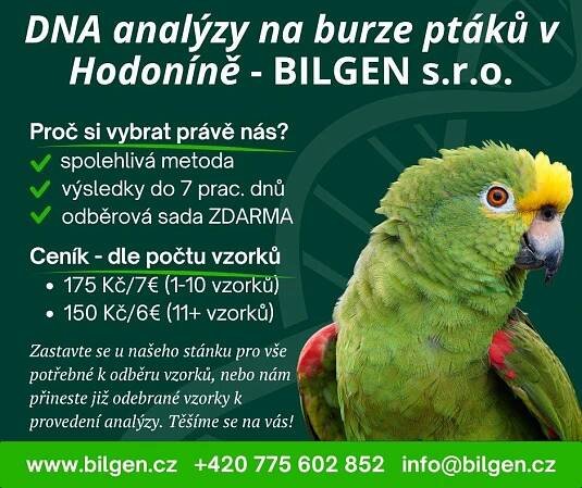Určení pohlaví ptáků na burze v Hodoníně - BILGEN s.r.o.