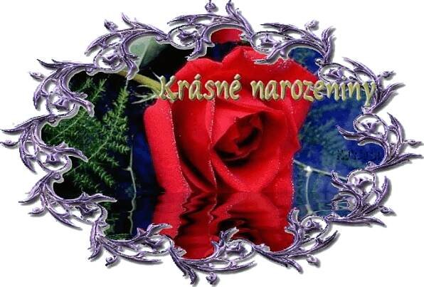 Pin na nástěnce PŘÁNÍ K NAROZENINÁM , SVÁTKU