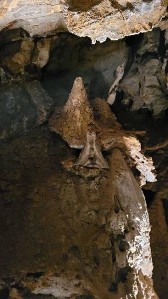 Fotogalerie • Národní přírodní památka Zbrašovské aragonitové jeskyně (Chráněné území) • Mapy.com