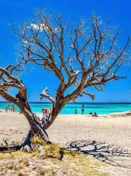 Gallery - Enjoy Greece