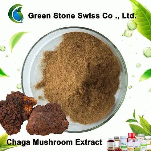 Extrakt z hub Chaga