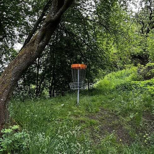 Fotogalerie • Discgolfové hřiště Tachov (DiscGolf hřiště) • Mapy.com