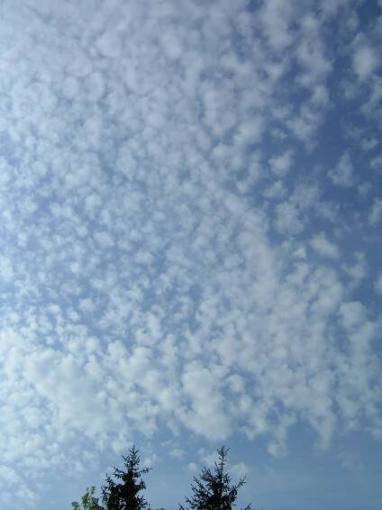 Cirrocumulus cloud