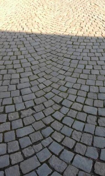 12632996_1097203310310799_171945855_o