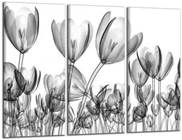 Obraz na plátně Tulipány 2643BX