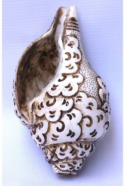 Conch Shell, powerful ancient healing (therapeutic) instrument, Hand work, Carving Conch Shell, Shiva Family, Cream Color - Large Size (20.5*32.5cm, 8.07*12.79 inch)