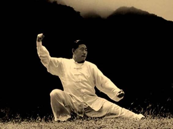 Tchaj-ťi - mistrovské provedení - Taiji Chen style Nová Paka