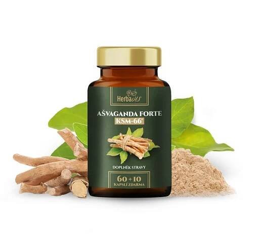 Ašvaganda FORTE KSM-66® - Extrakt z Kořene 5%